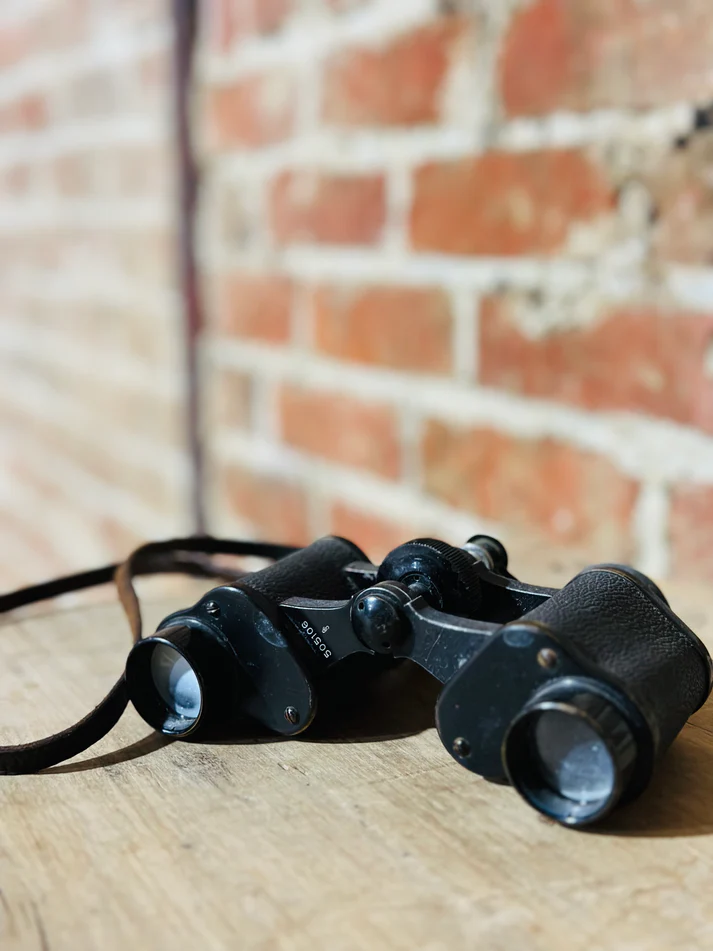 JUMELLES VINTAGE NOIRES