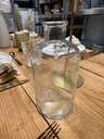 VASE TRANSPARENT