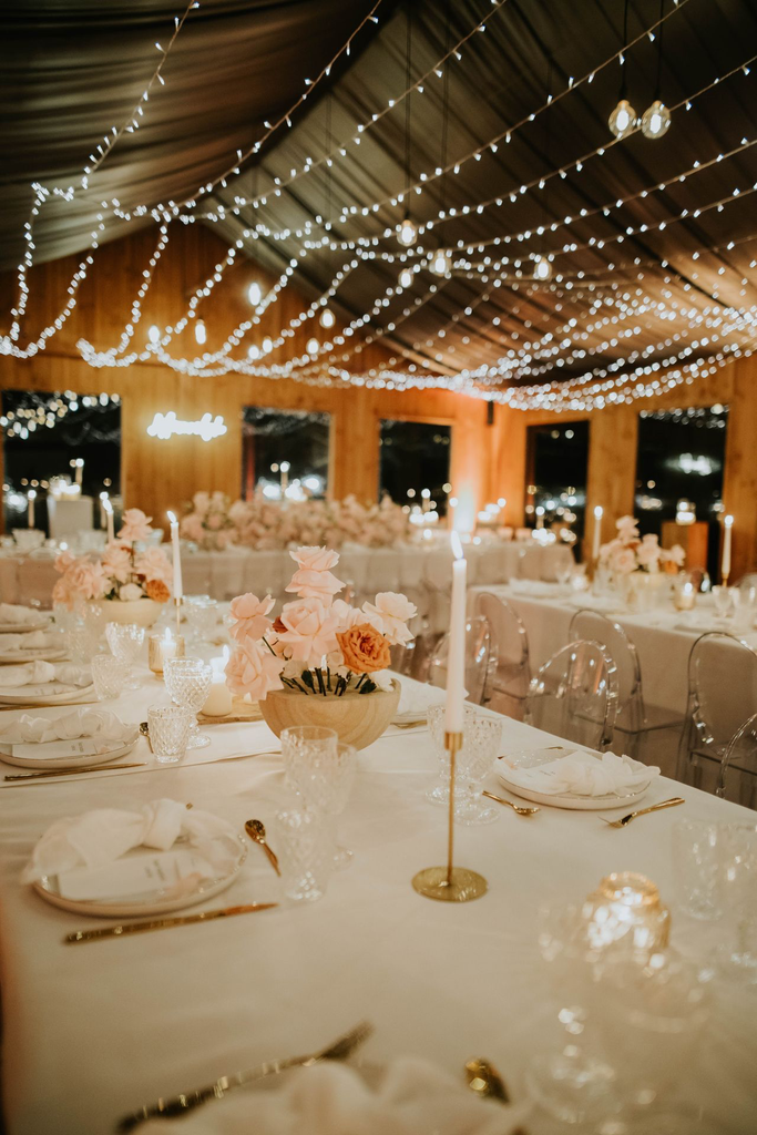 Guirlande LED pour ciel lumineux 60m