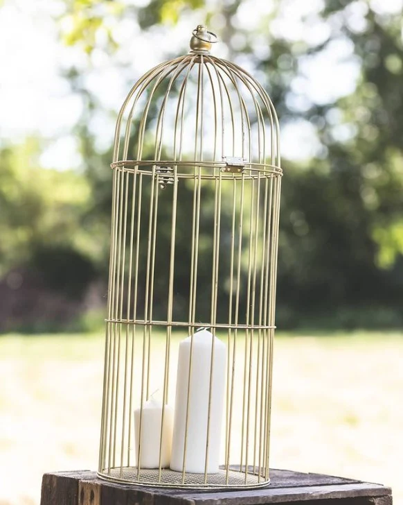 Cage à oiseaux dorée.webp