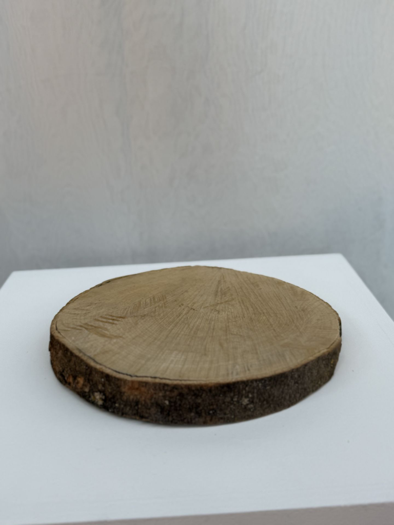 Galette de bois moyen modèle