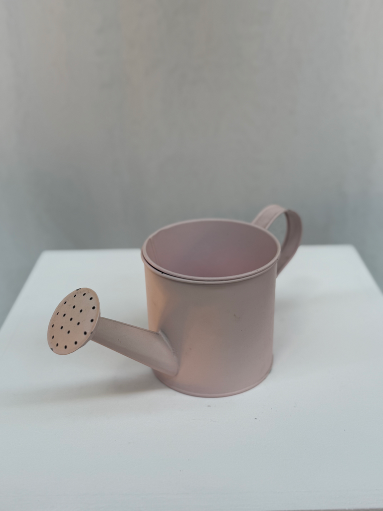 Mini arrosoir rose