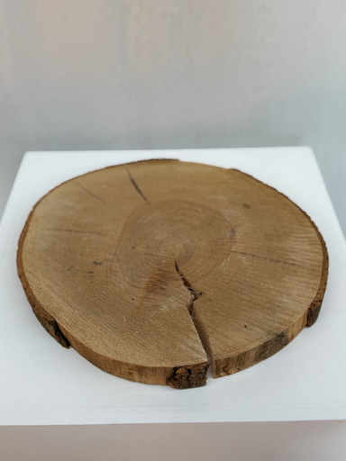 Galette de bois grand modèle