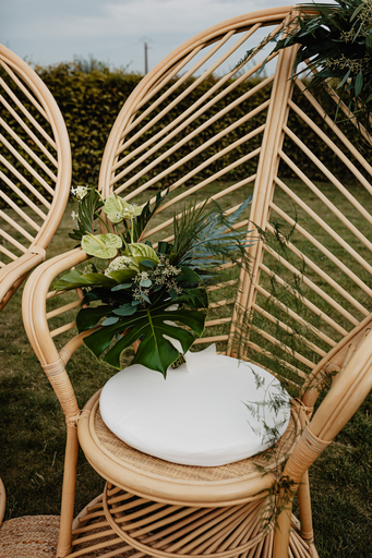 Fauteuil Emmanuelle Clémence